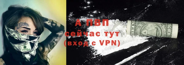 крисы Вяземский