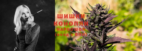 прущие крисы Горняк