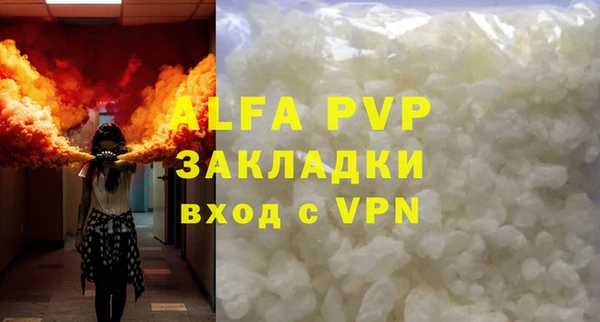 стаф Зерноград