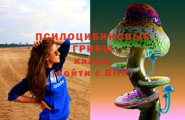 прущие крисы Горняк