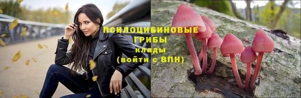стафф Вязники