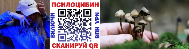 Псилоцибиновые грибы мухоморы купить наркоту Заозёрск